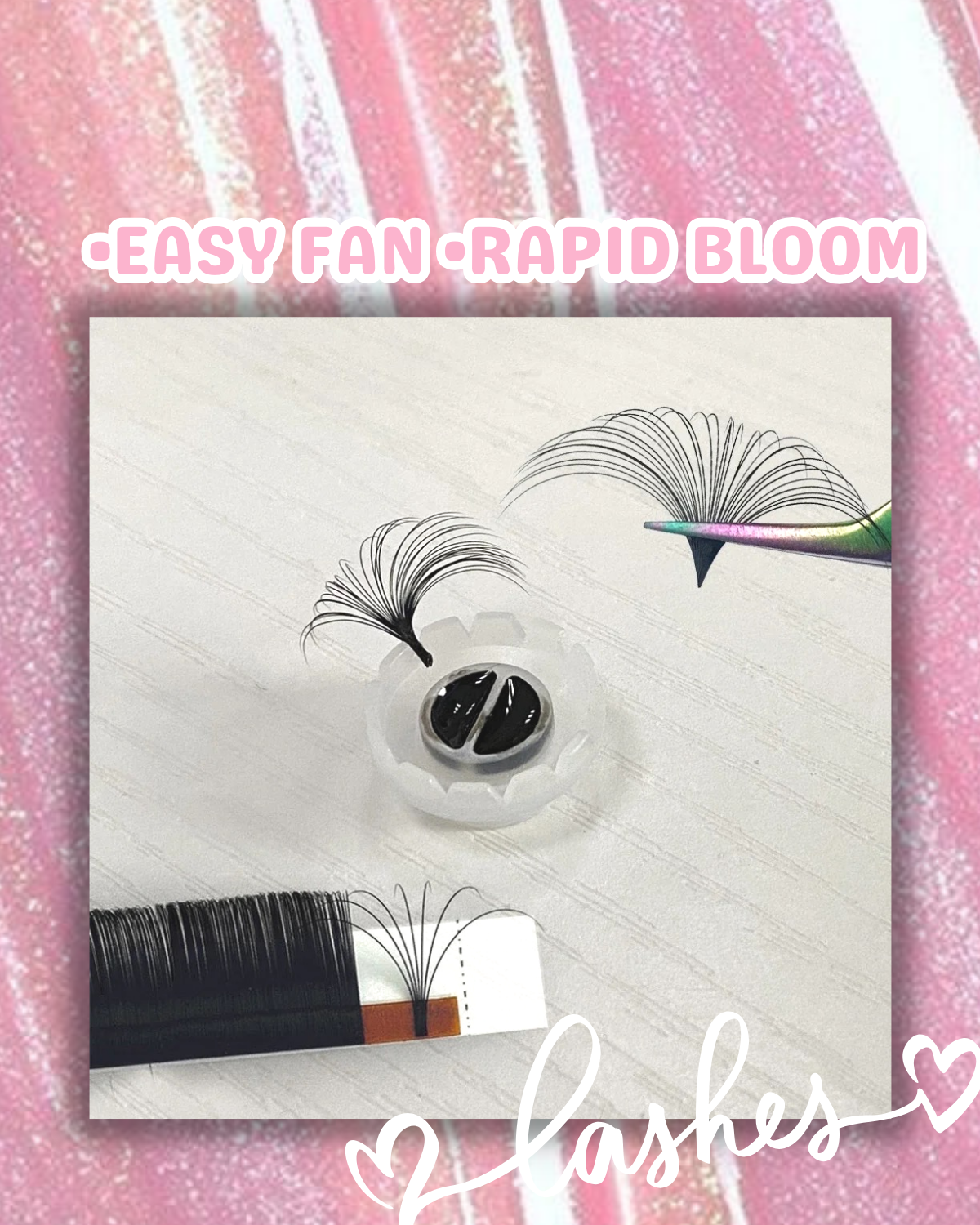 CASHMERE INDIVIDUAL MINK LASH TRAYS (EASY FAN ONLY)